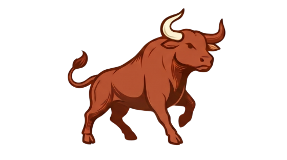 The Bull